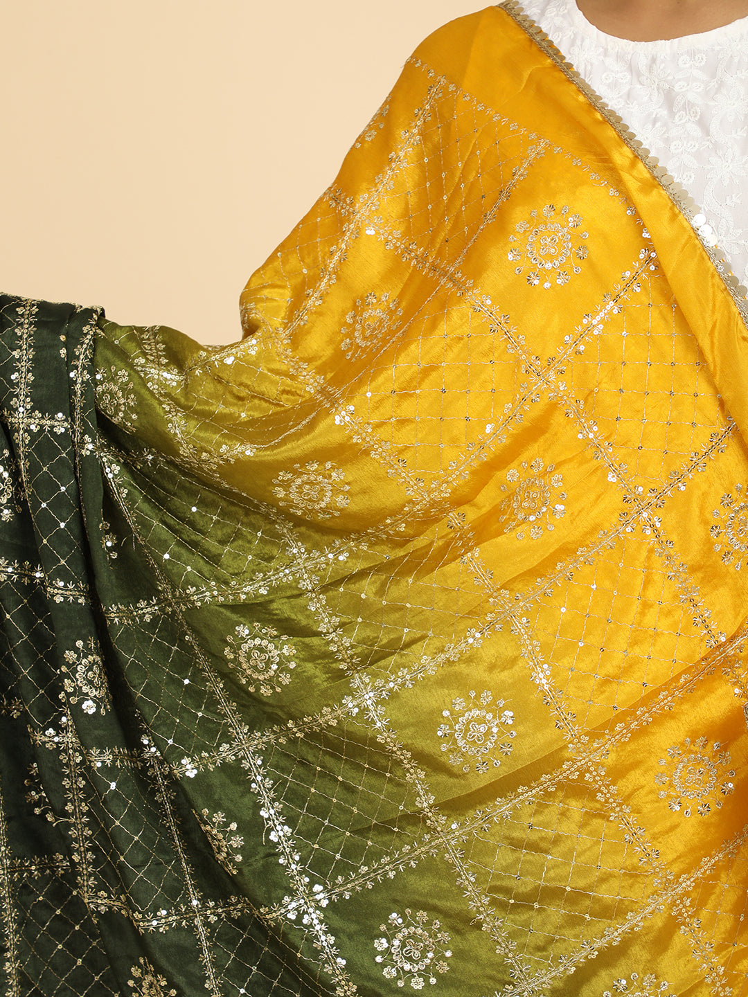 Embroidered Chinon Silk Dupatta