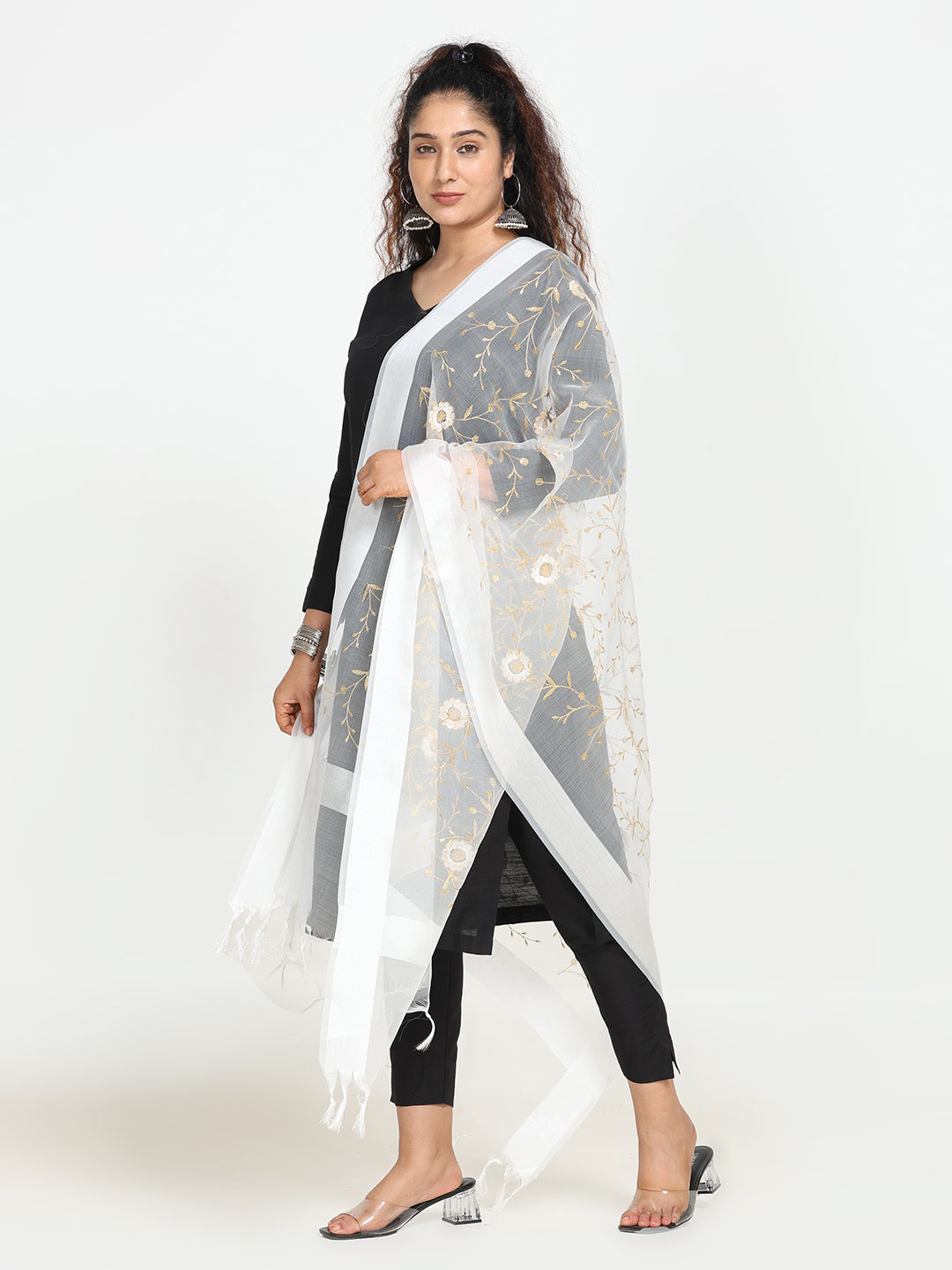 Embroidered Chanderi Dupatta