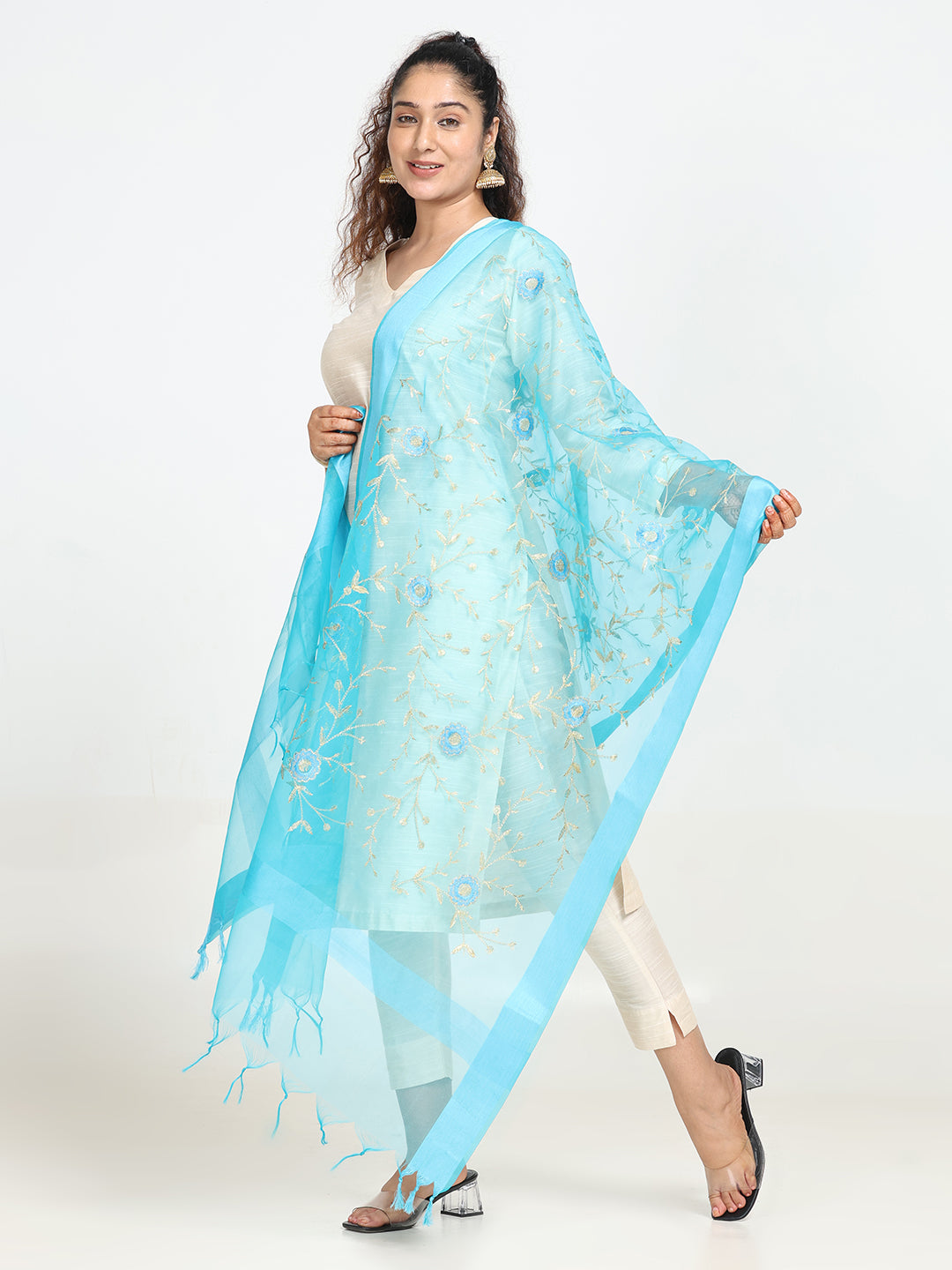 Embroidered Chanderi Dupatta