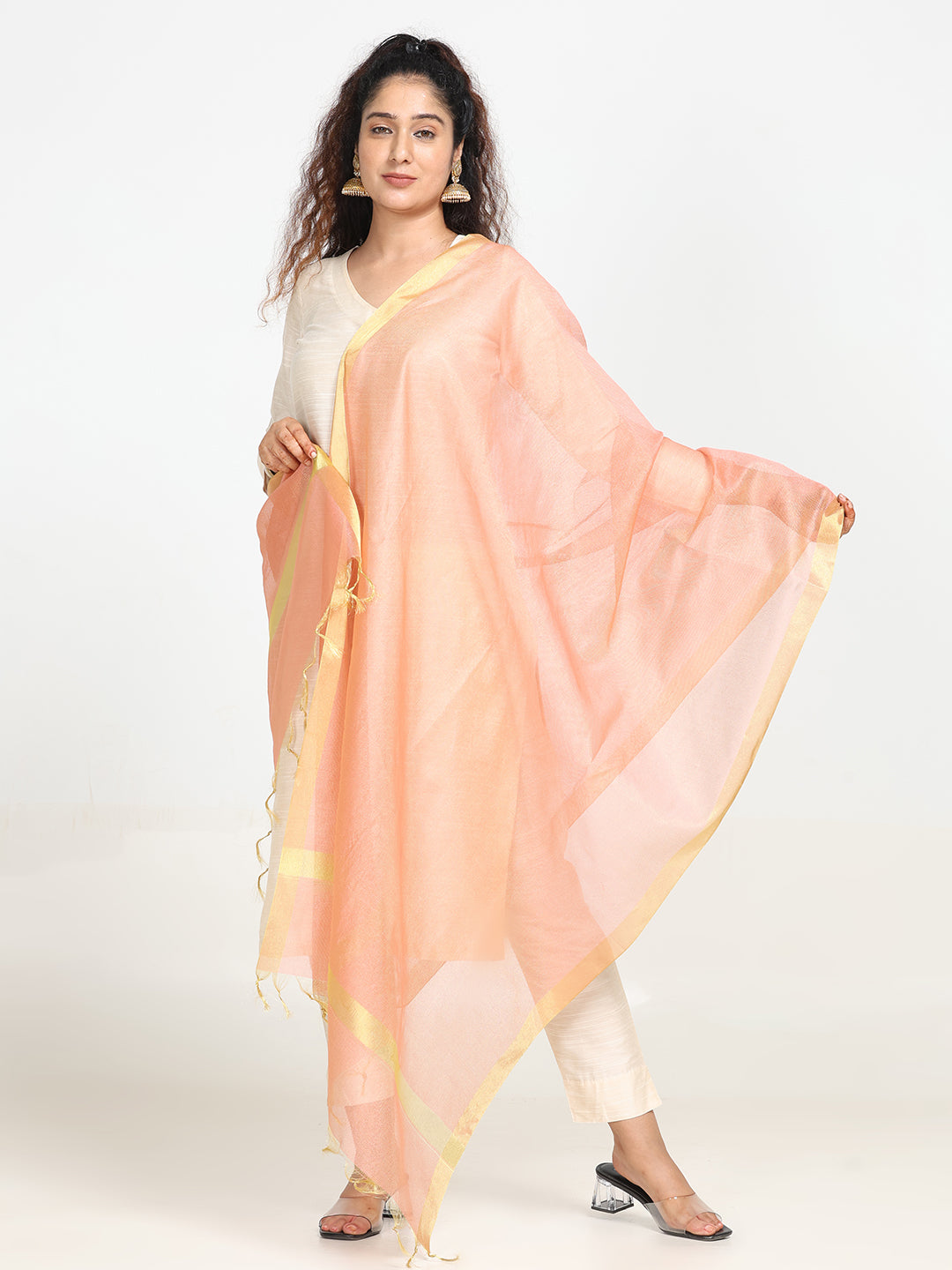 Embroidered Chanderi Dupatta
