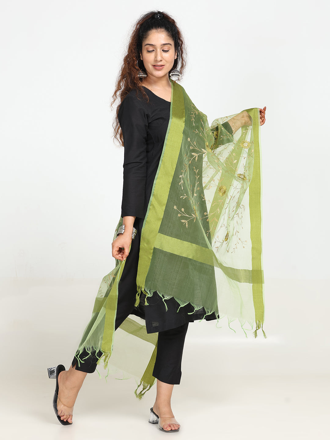Embroidered Chanderi Dupatta
