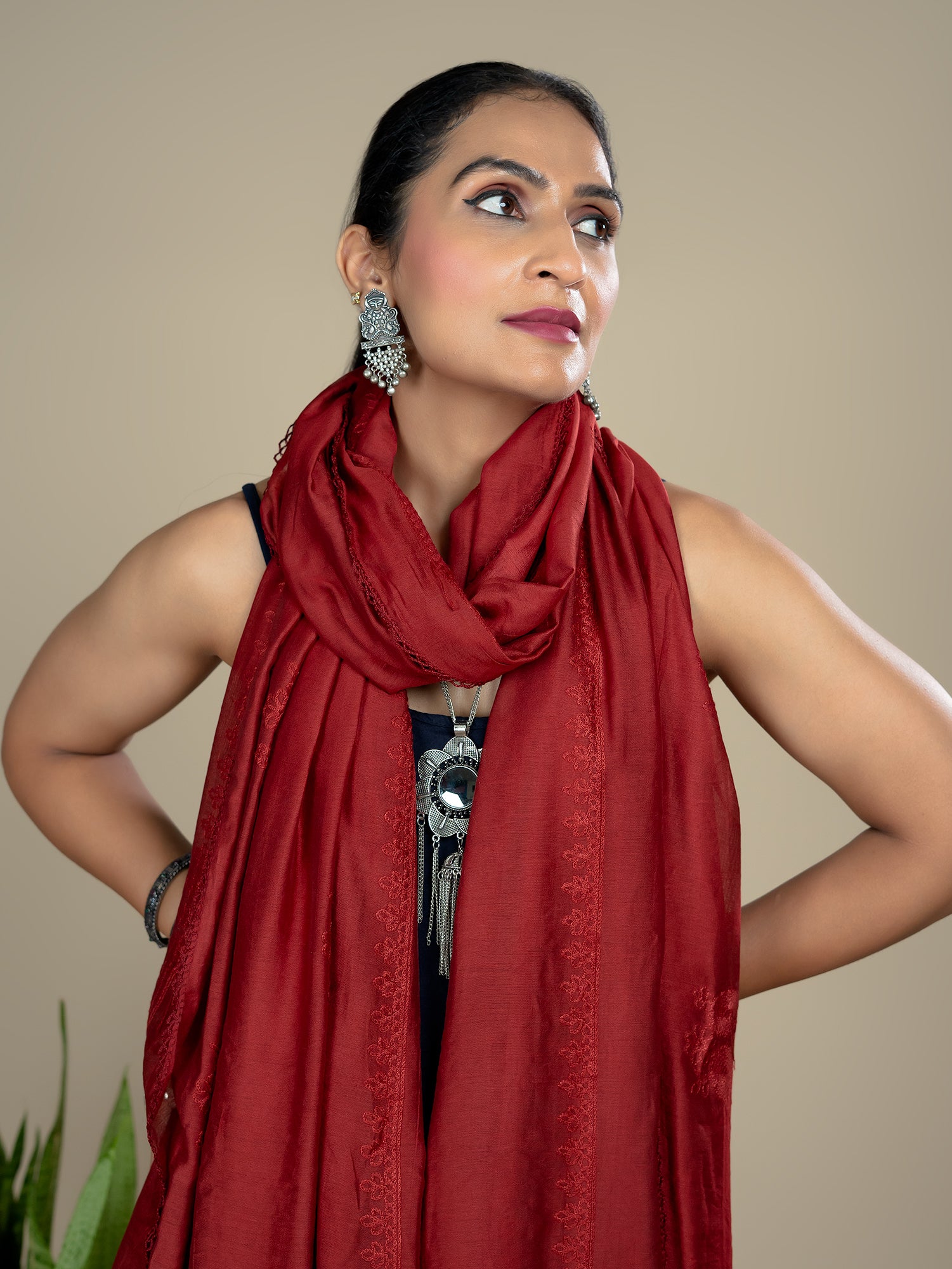 Embroidered Chanderi Dupatta