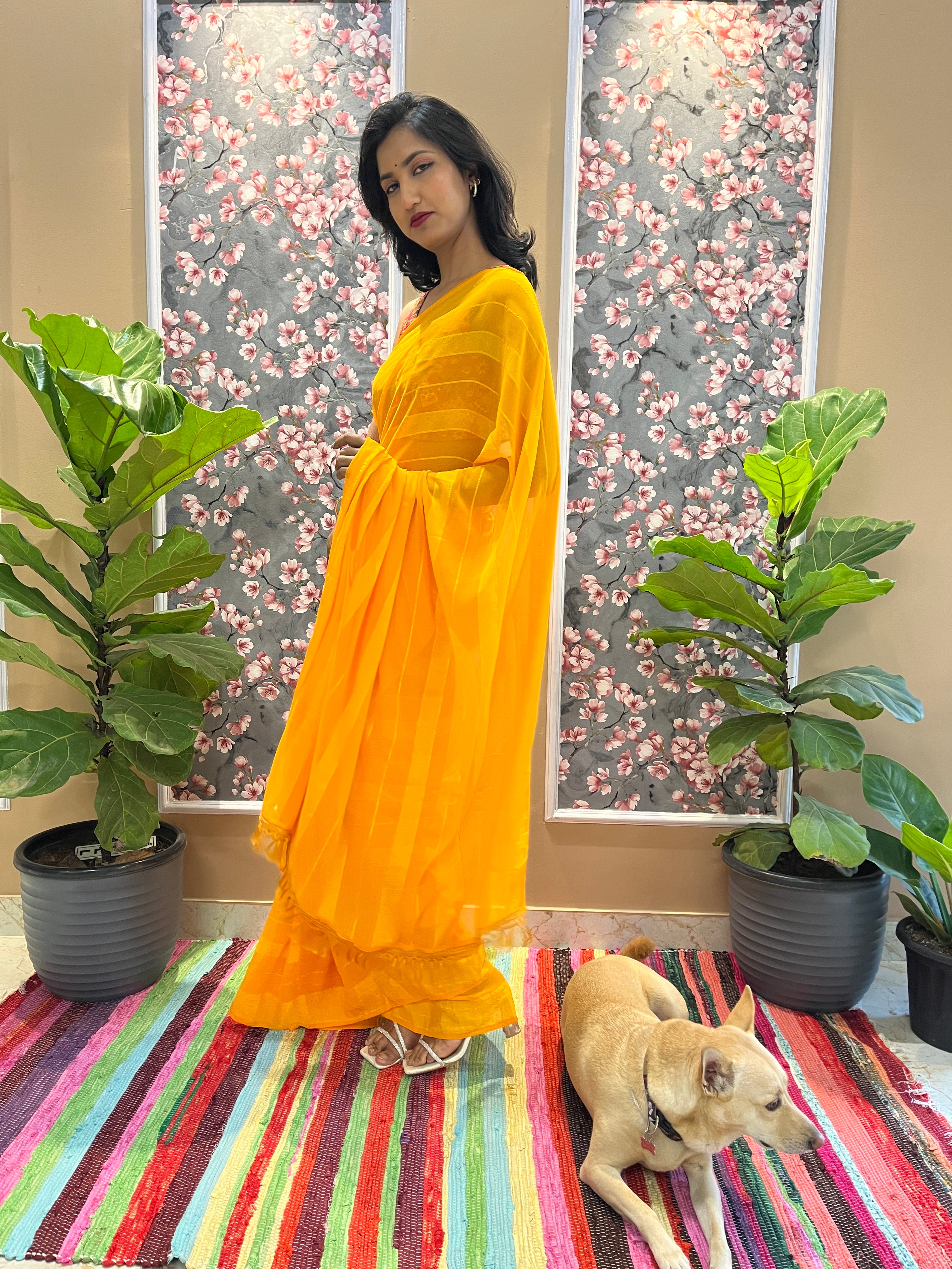 Solid Georgette Saree