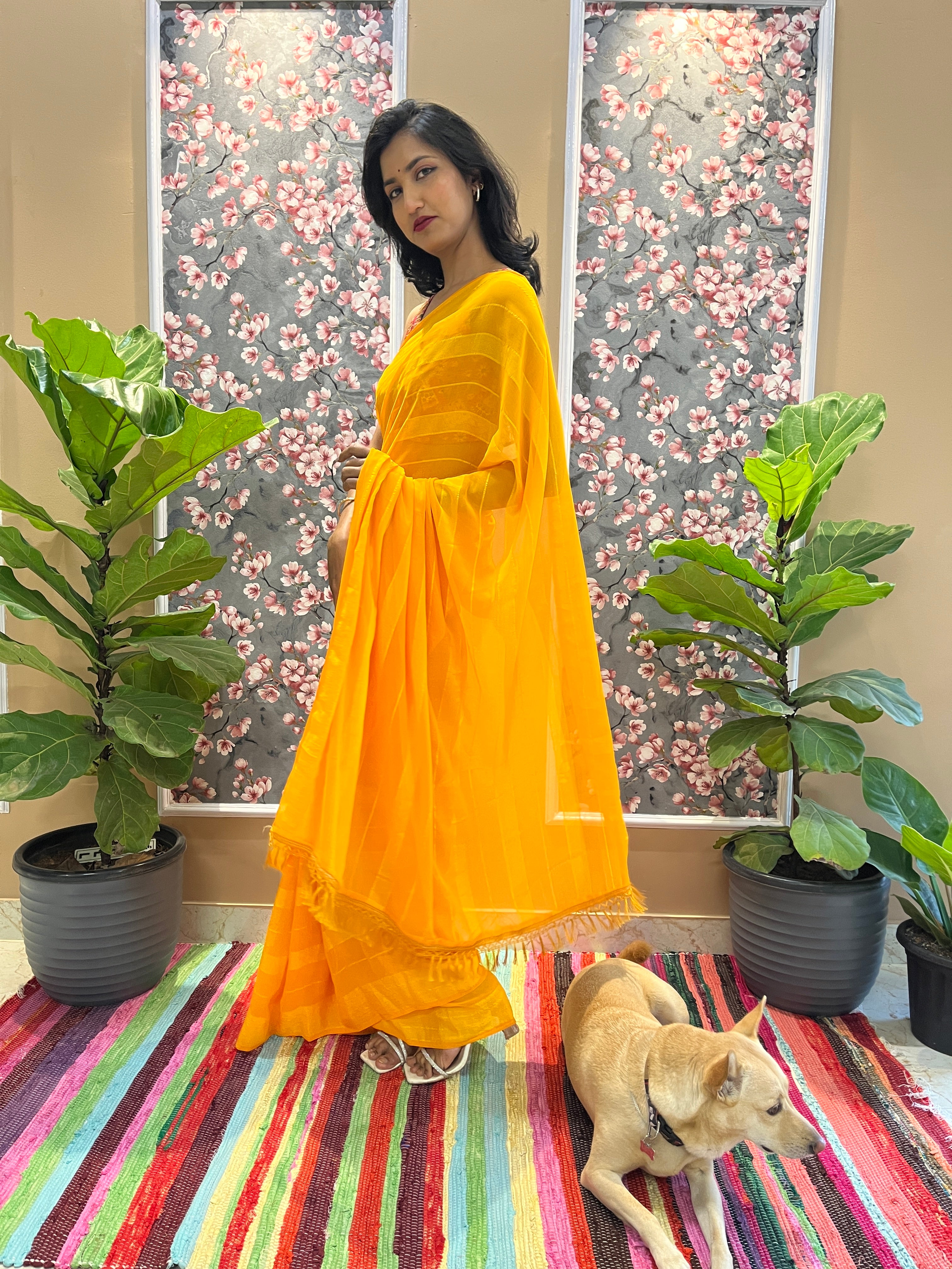 Solid Georgette Saree