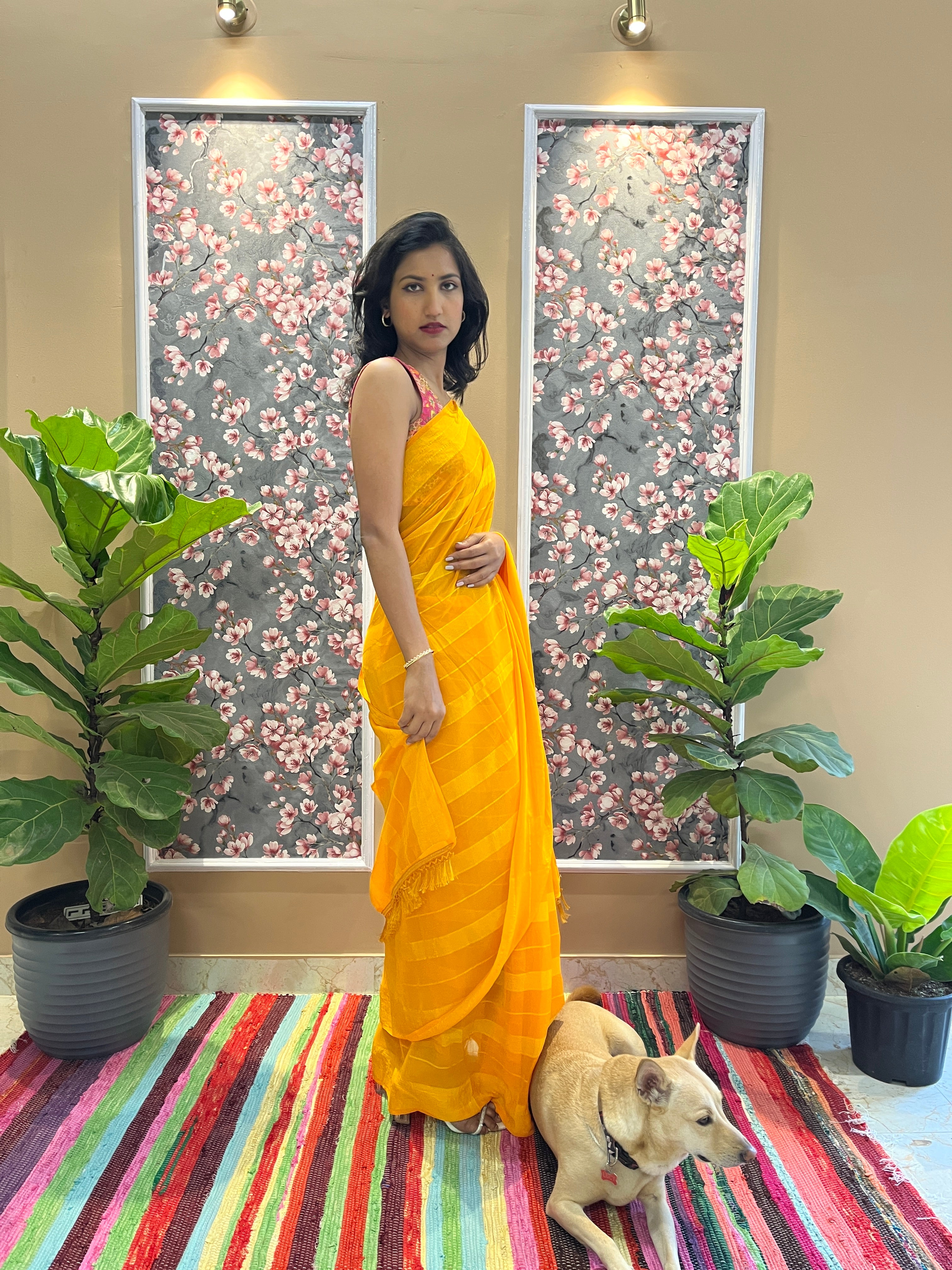 Solid Georgette Saree