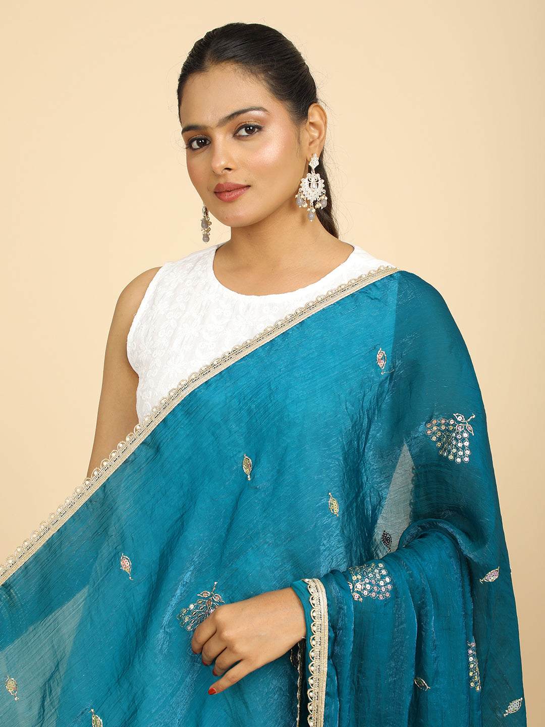 Embroidered Glass Tissue Dupatta