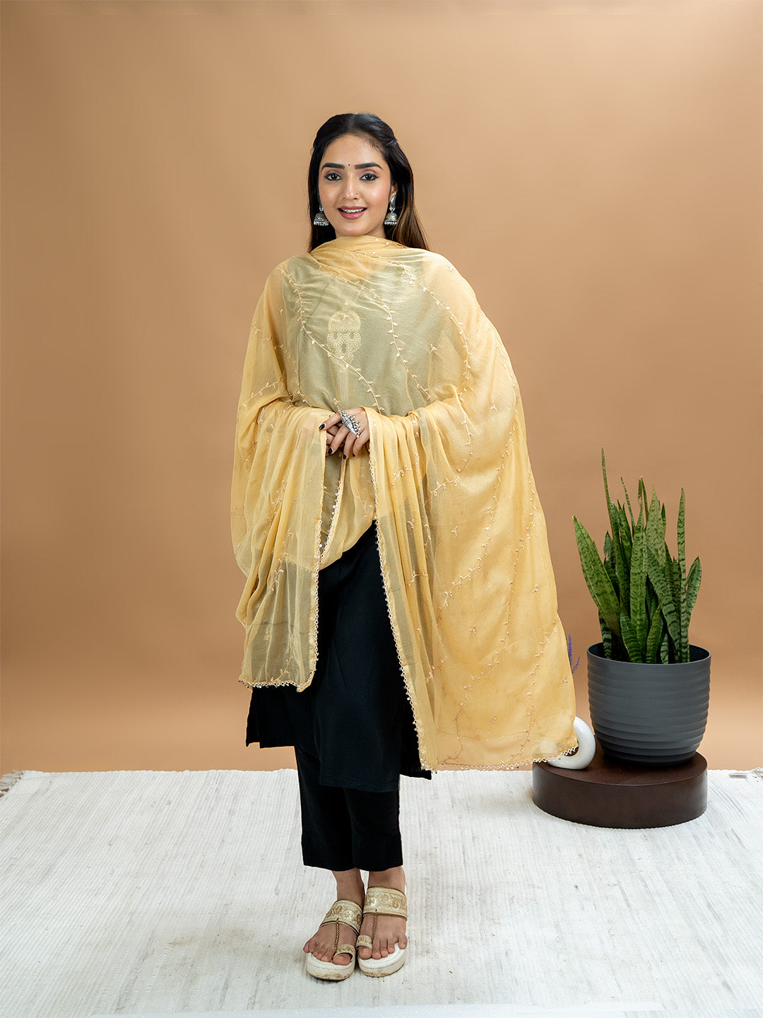 Embroidered Chiffon Dupatta