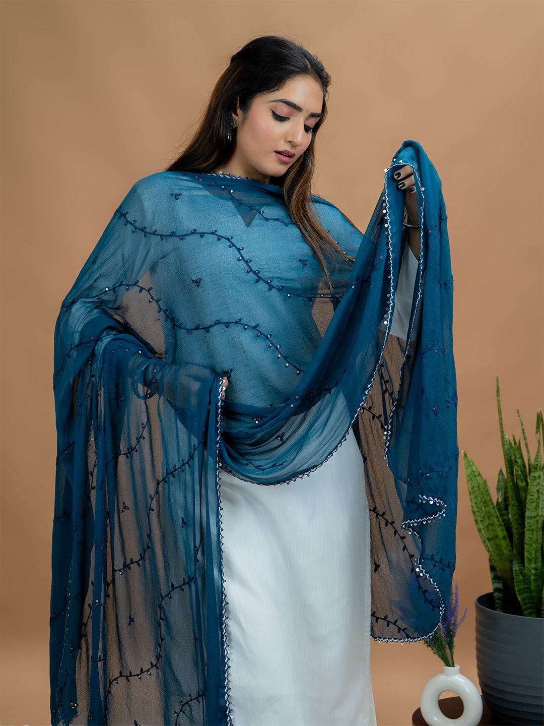 Embroidered Chiffon Dupatta