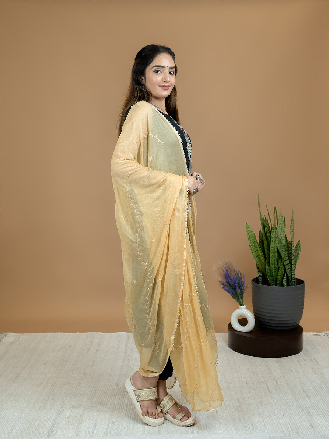 Embroidered Chiffon Dupatta