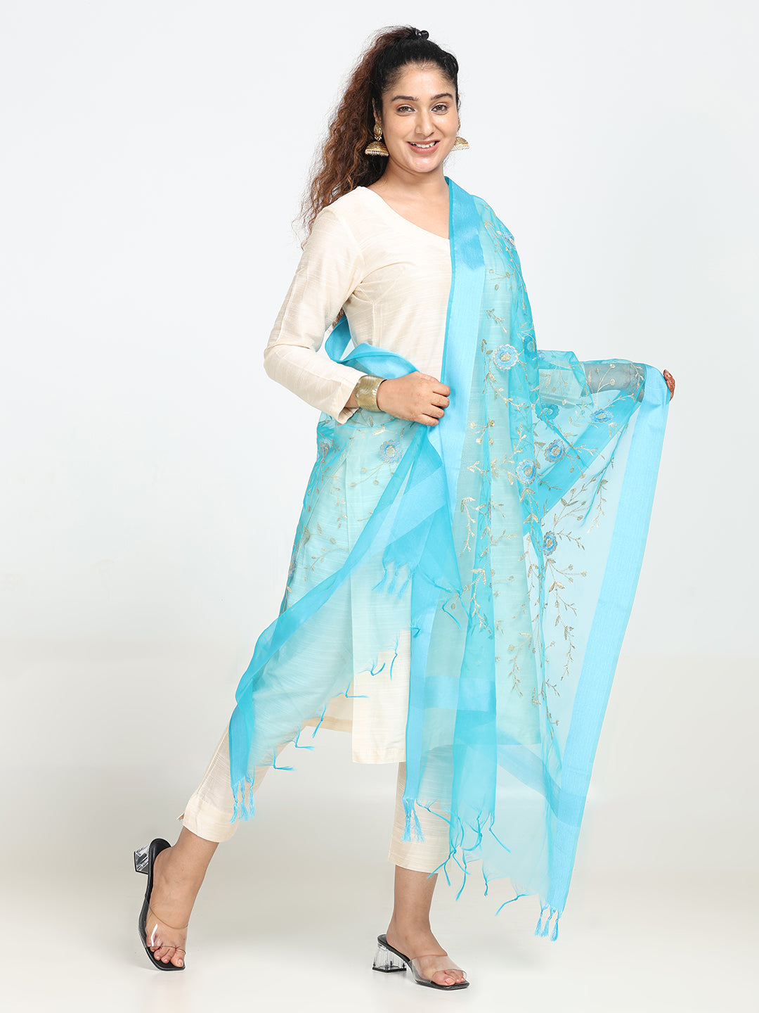 Embroidered Chanderi Dupatta