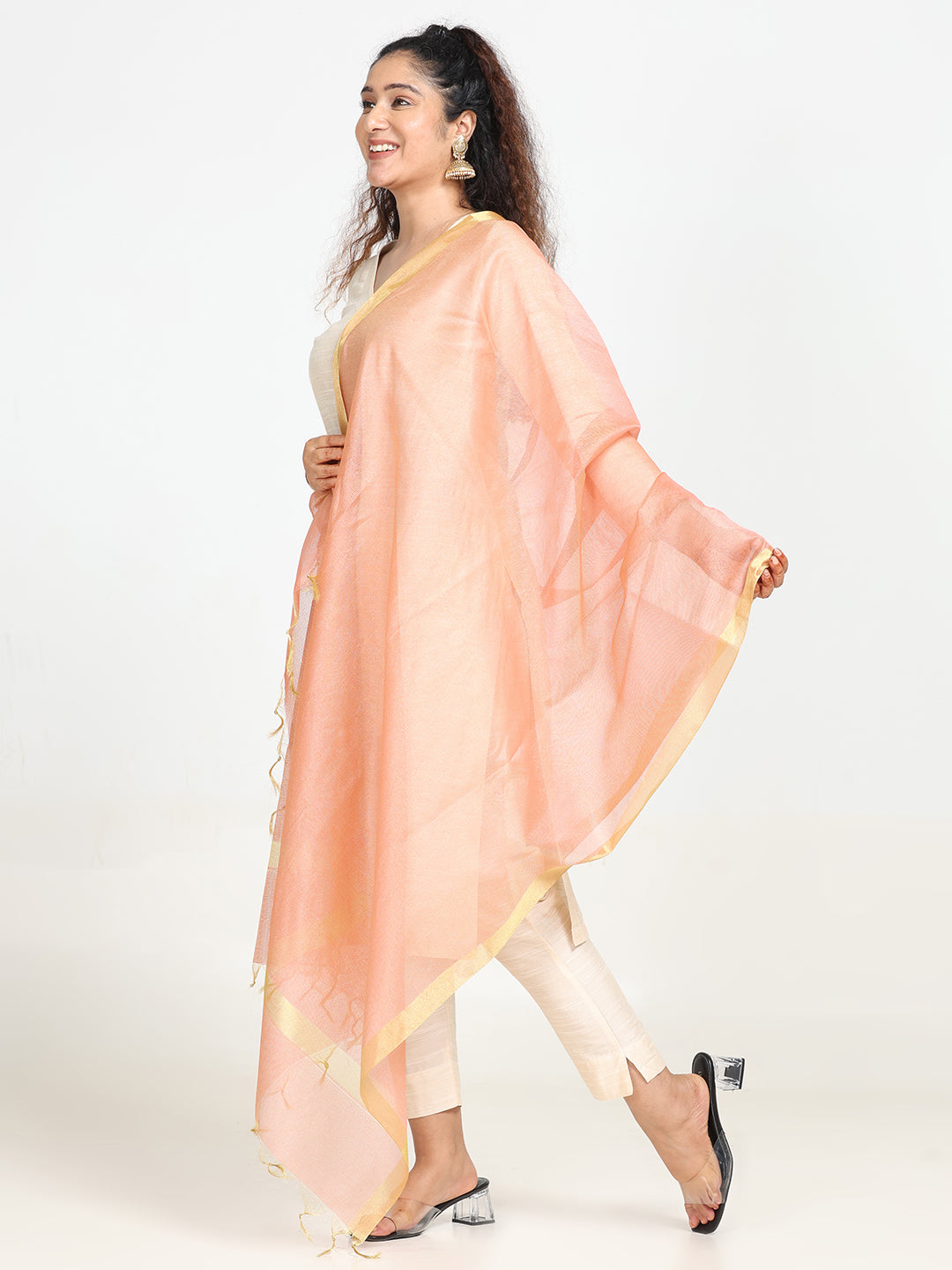 Embroidered Chanderi Dupatta