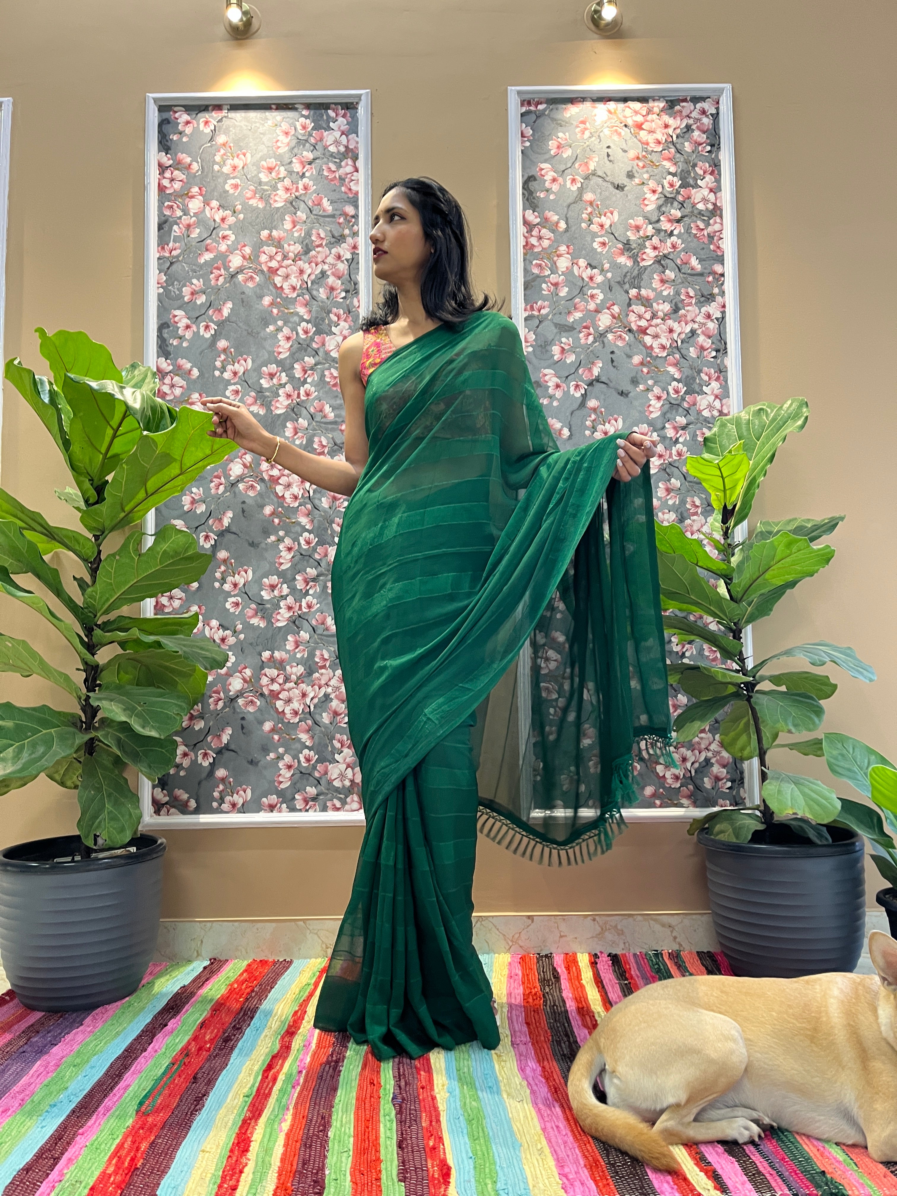 Solid Georgette Saree