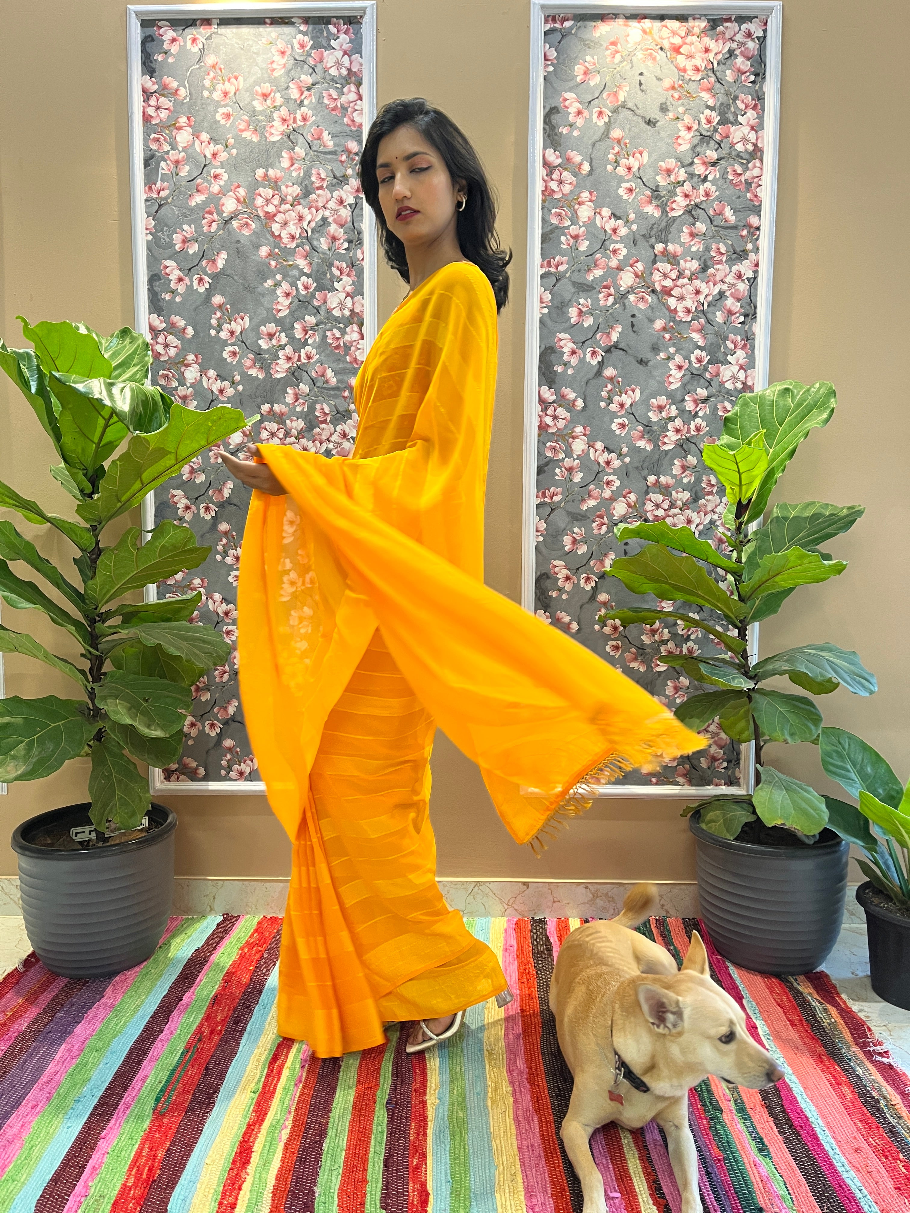 Solid Georgette Saree