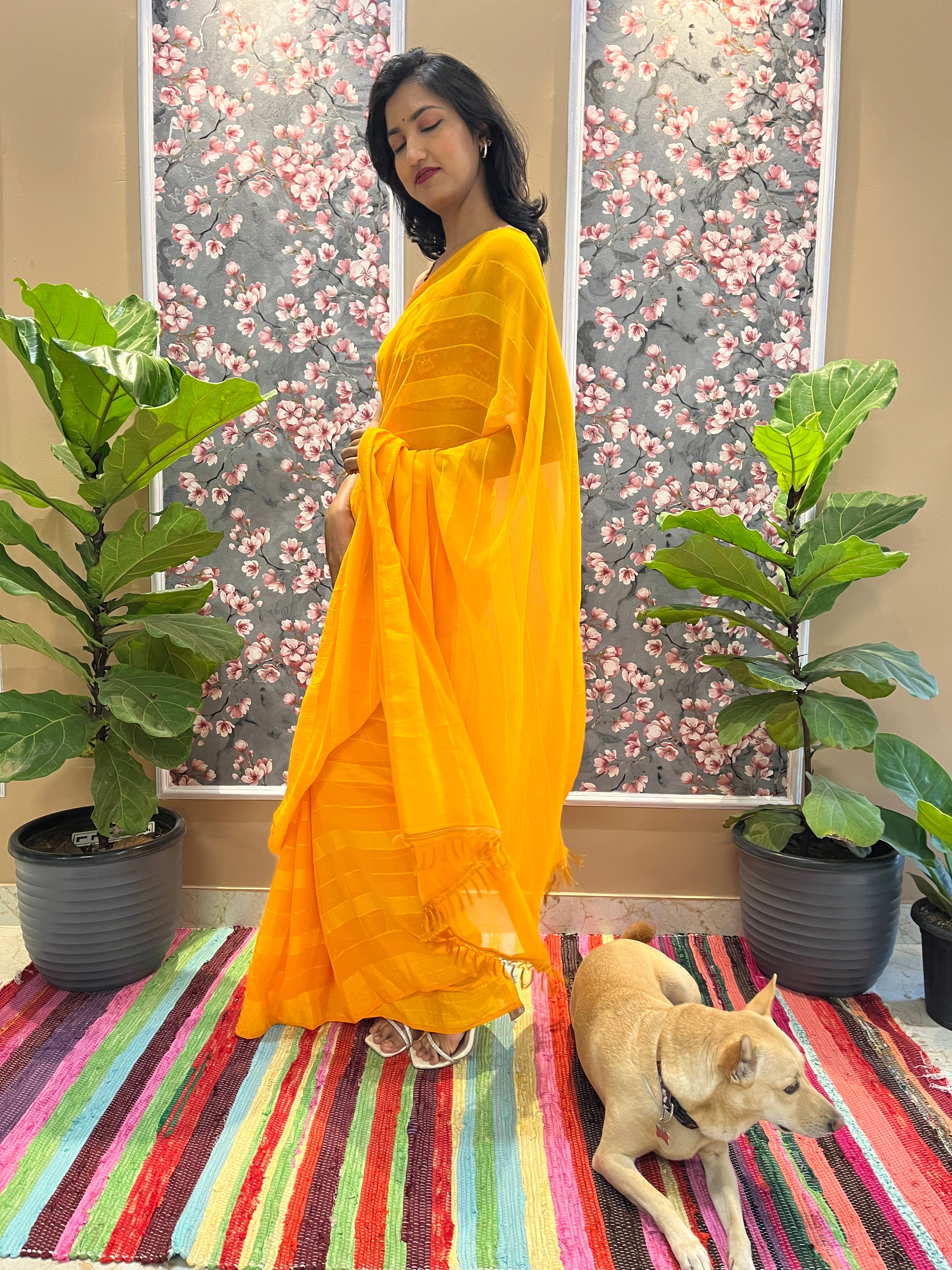 Solid Georgette Saree