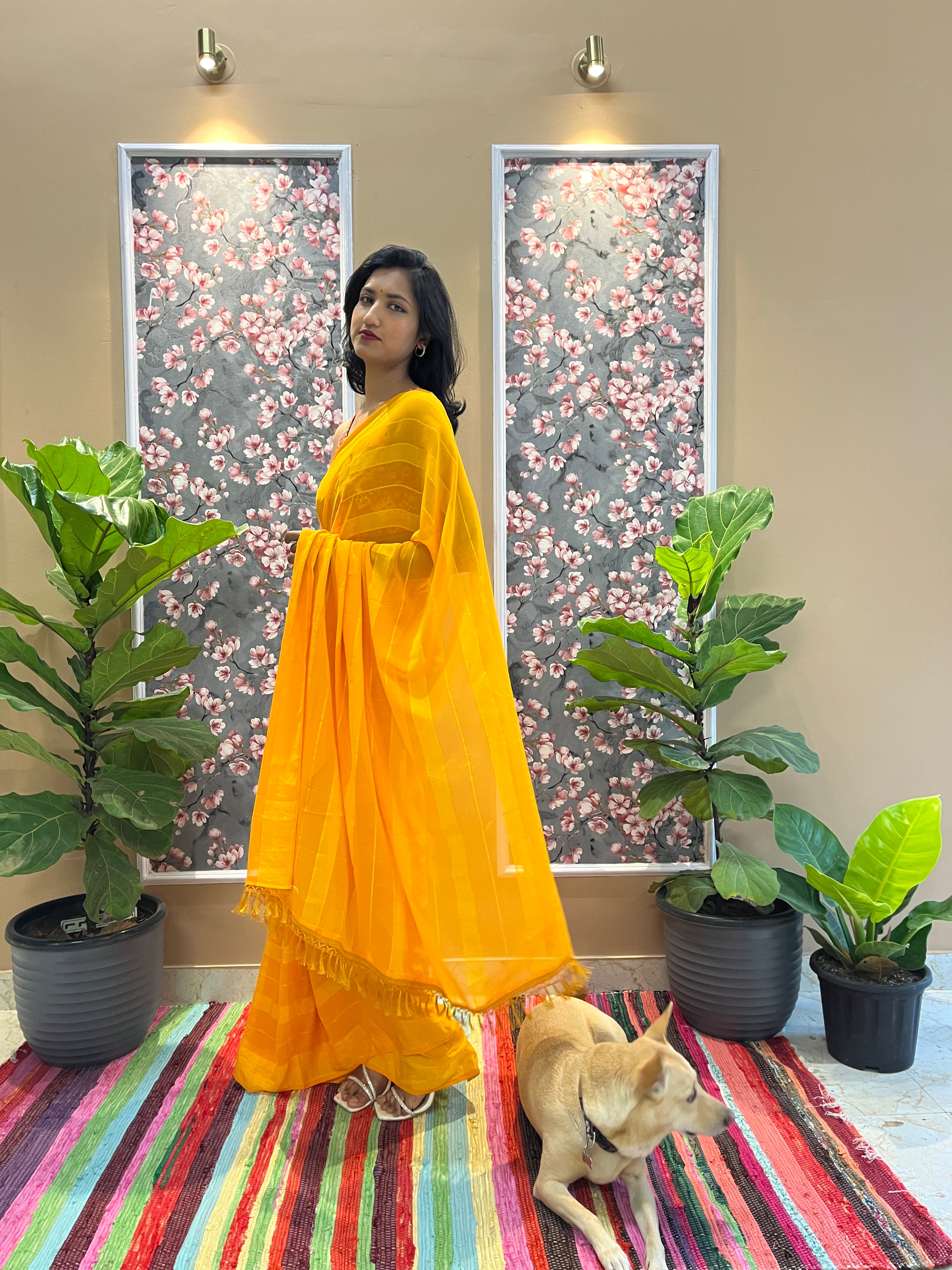 Solid Georgette Saree