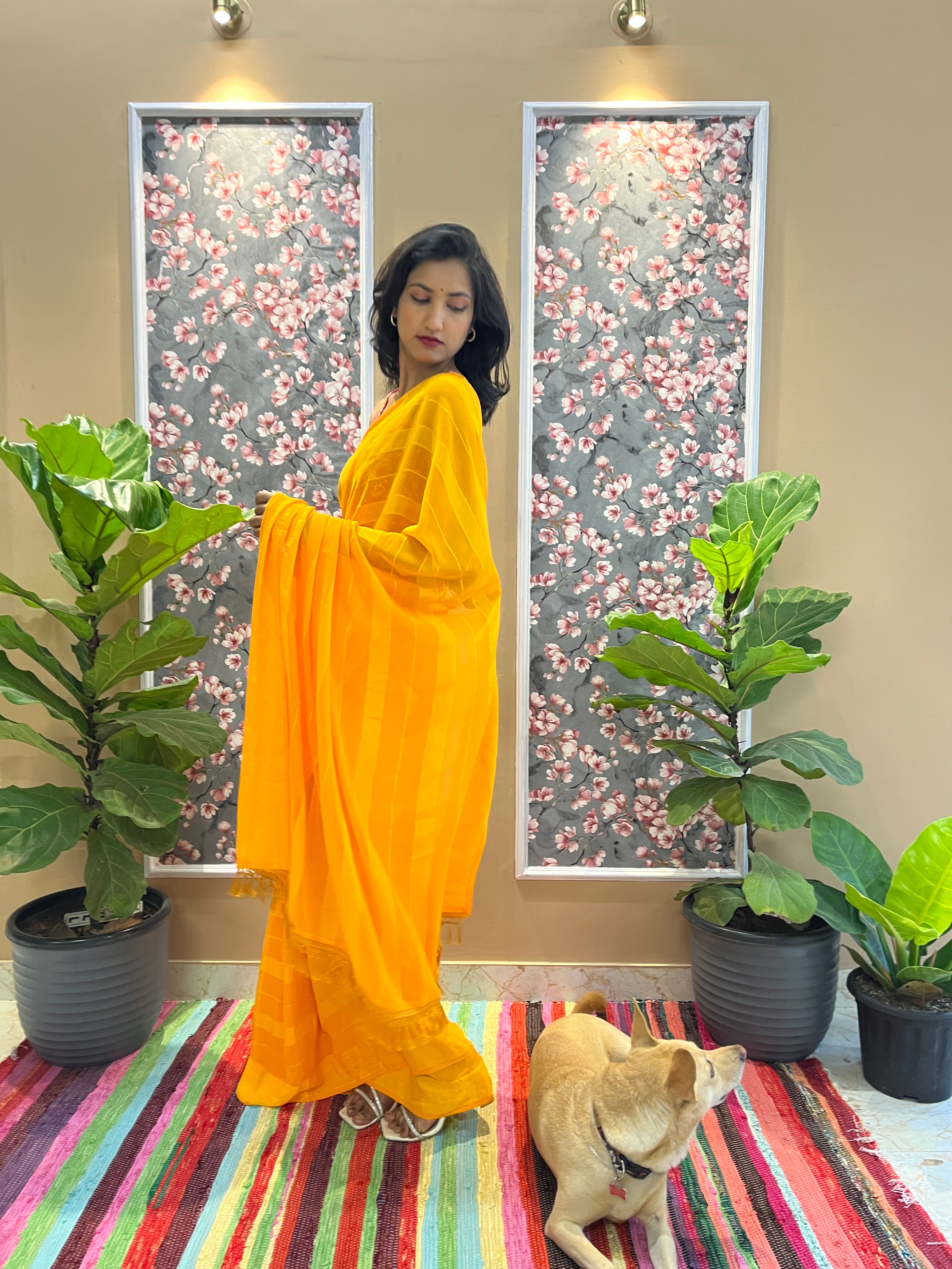 Solid Georgette Saree