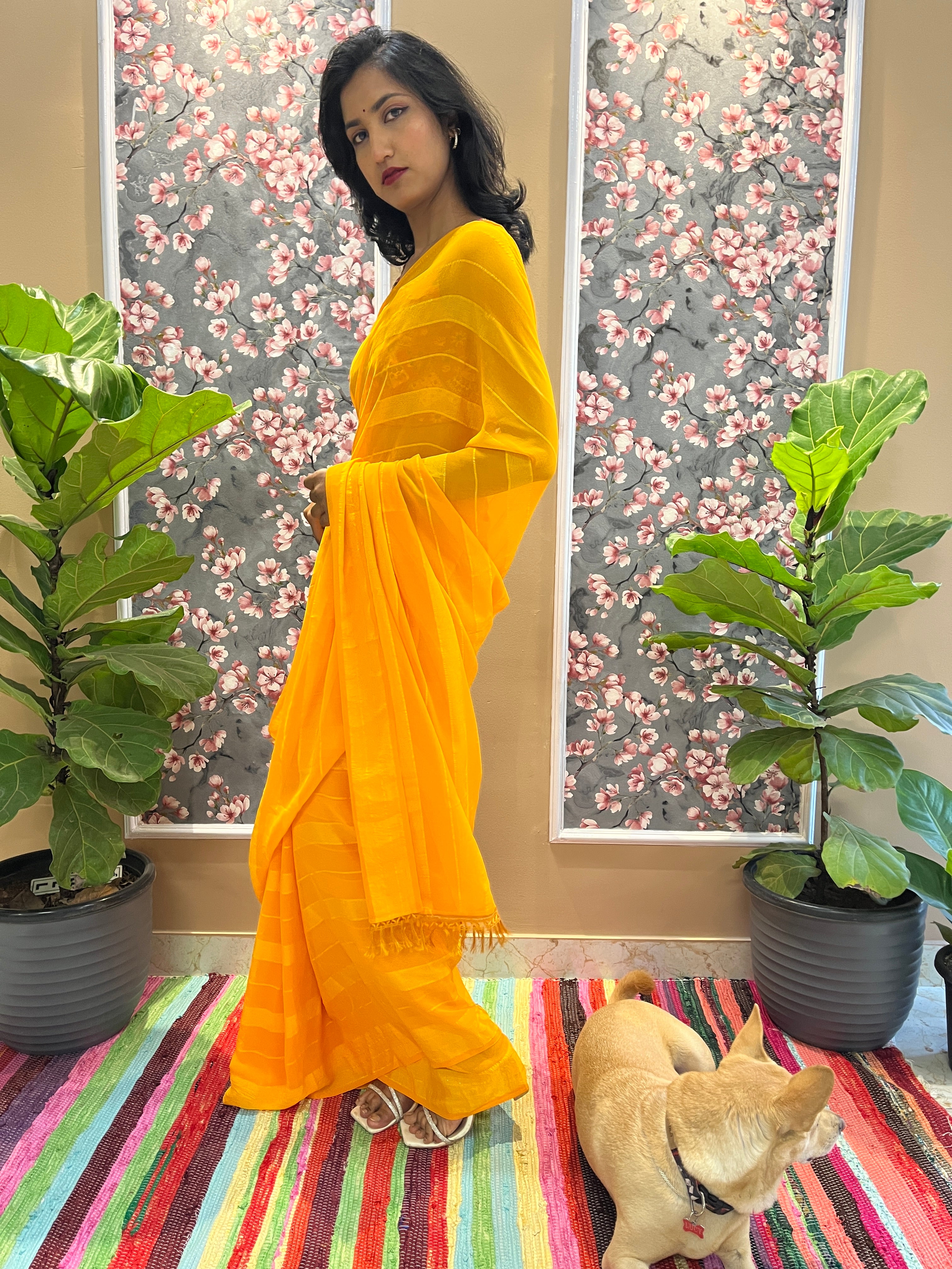 Solid Georgette Saree