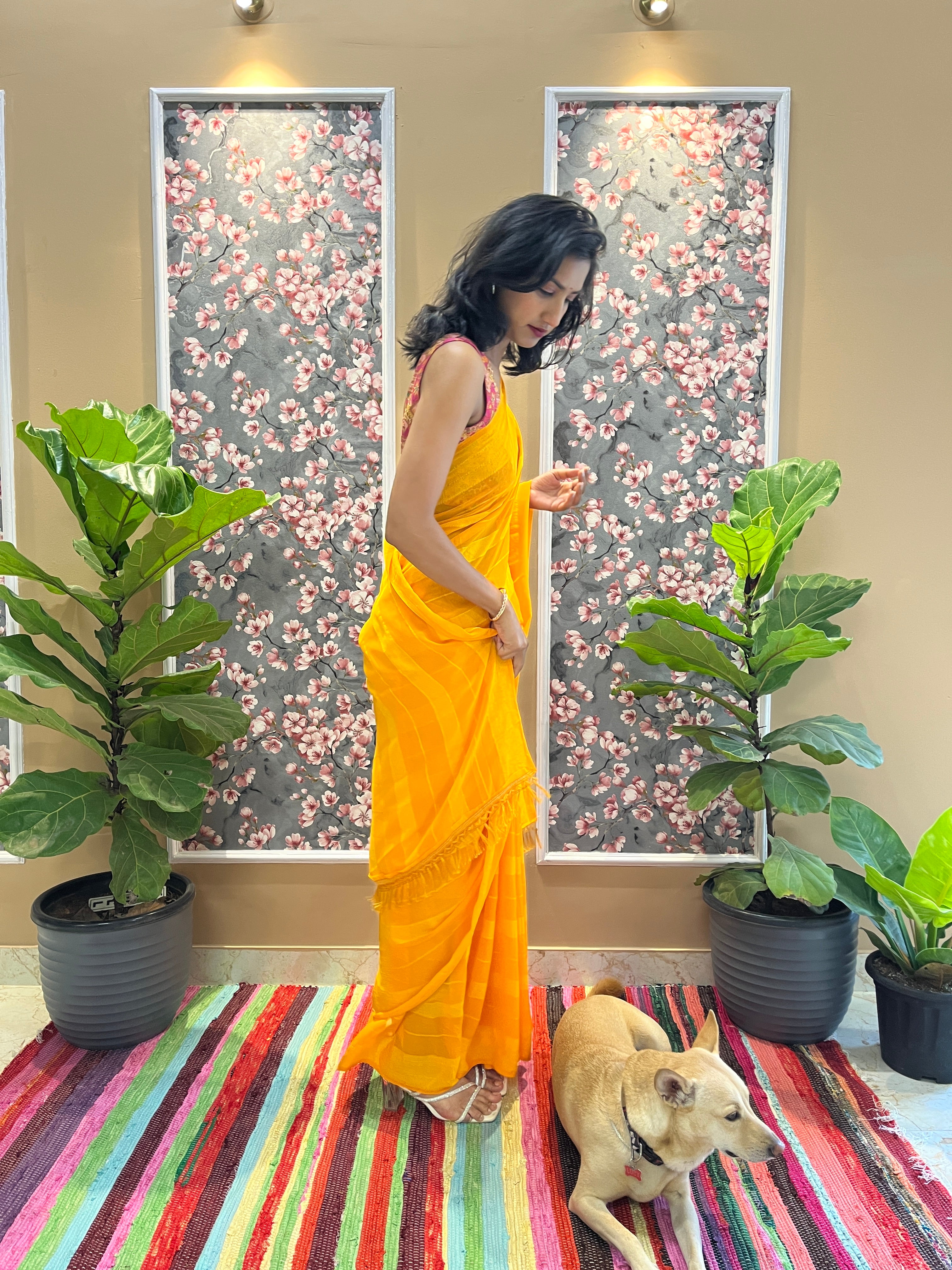 Solid Georgette Saree