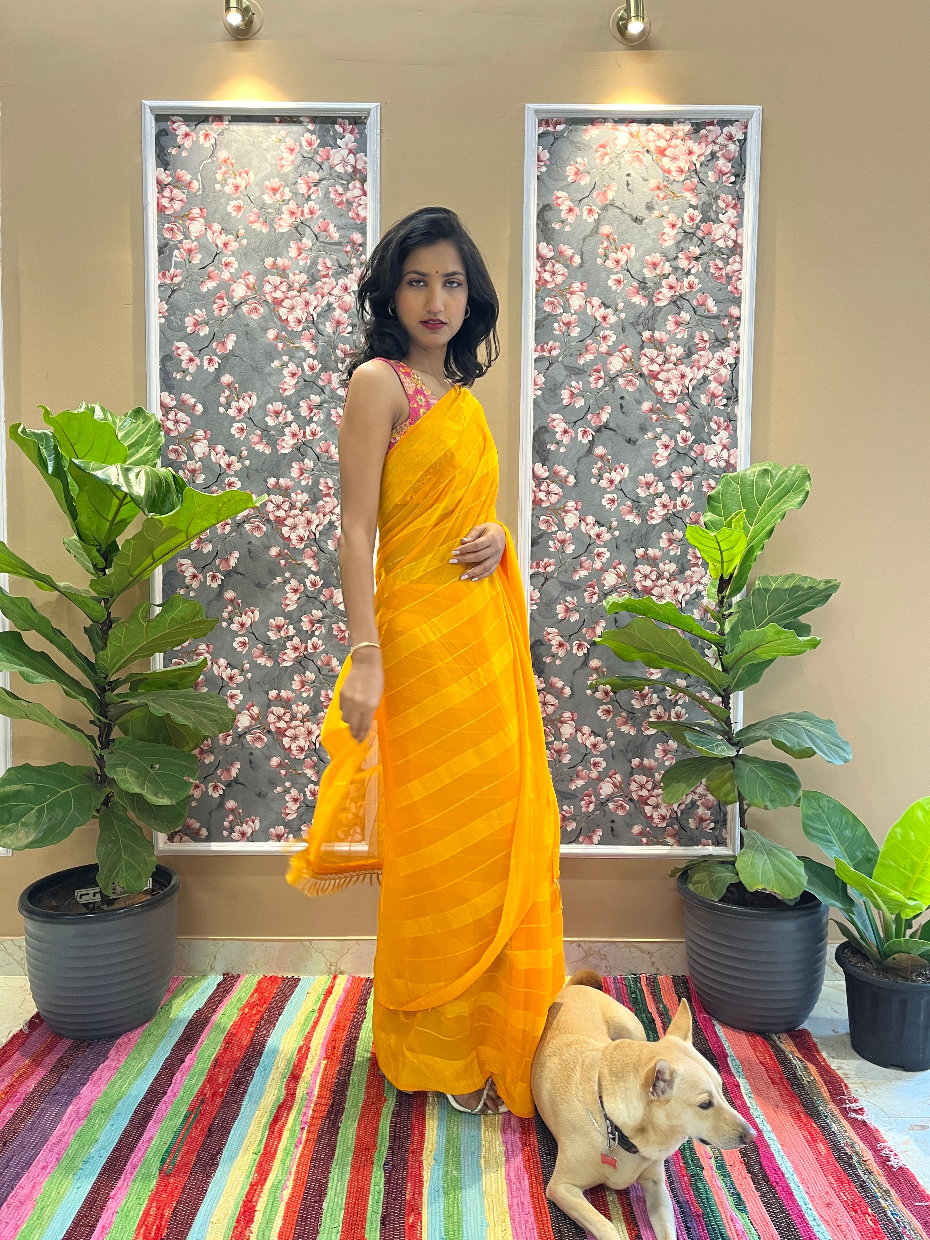 Solid Georgette Saree