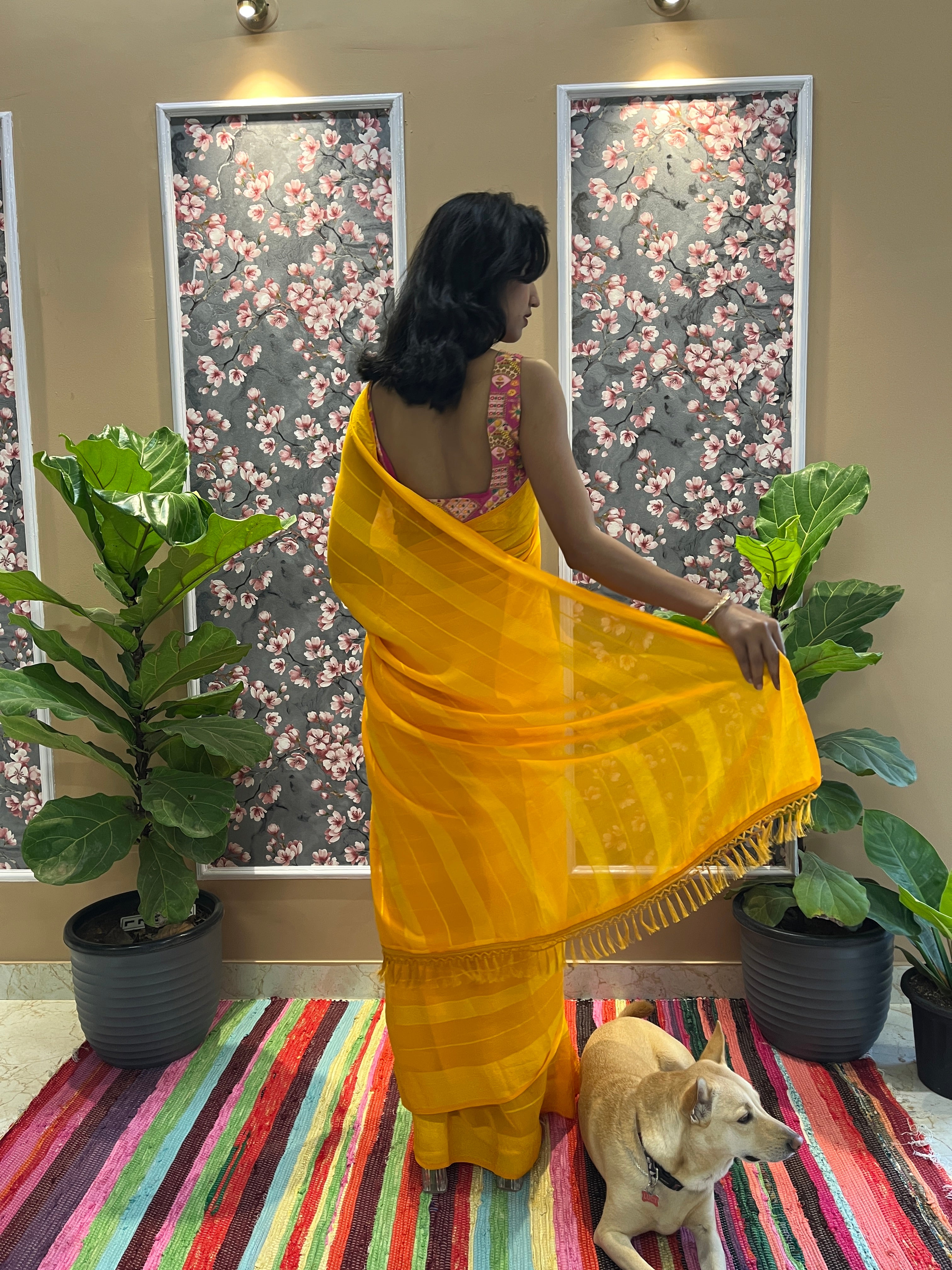 Solid Georgette Saree